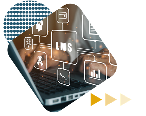 Learning management system reports