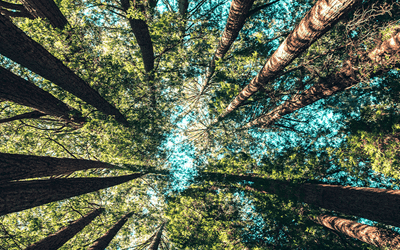 Chartered Institute Header Image