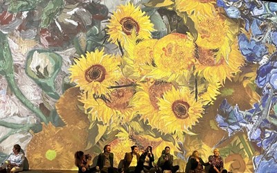Does Art Have To Be Beautiful